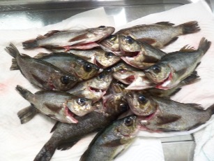 大量のメバルをもらって困った時の処理 吸い物と南蛮 最近のヒット